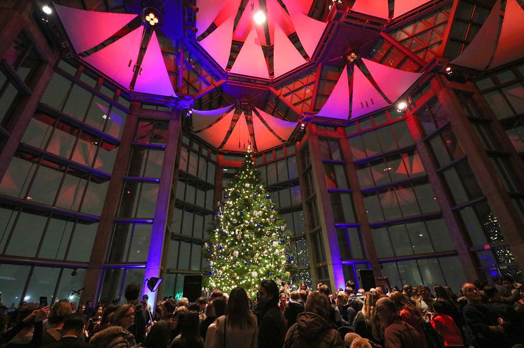 Where To See The Best Christmas Trees in Ottawa Little Miss Ottawa