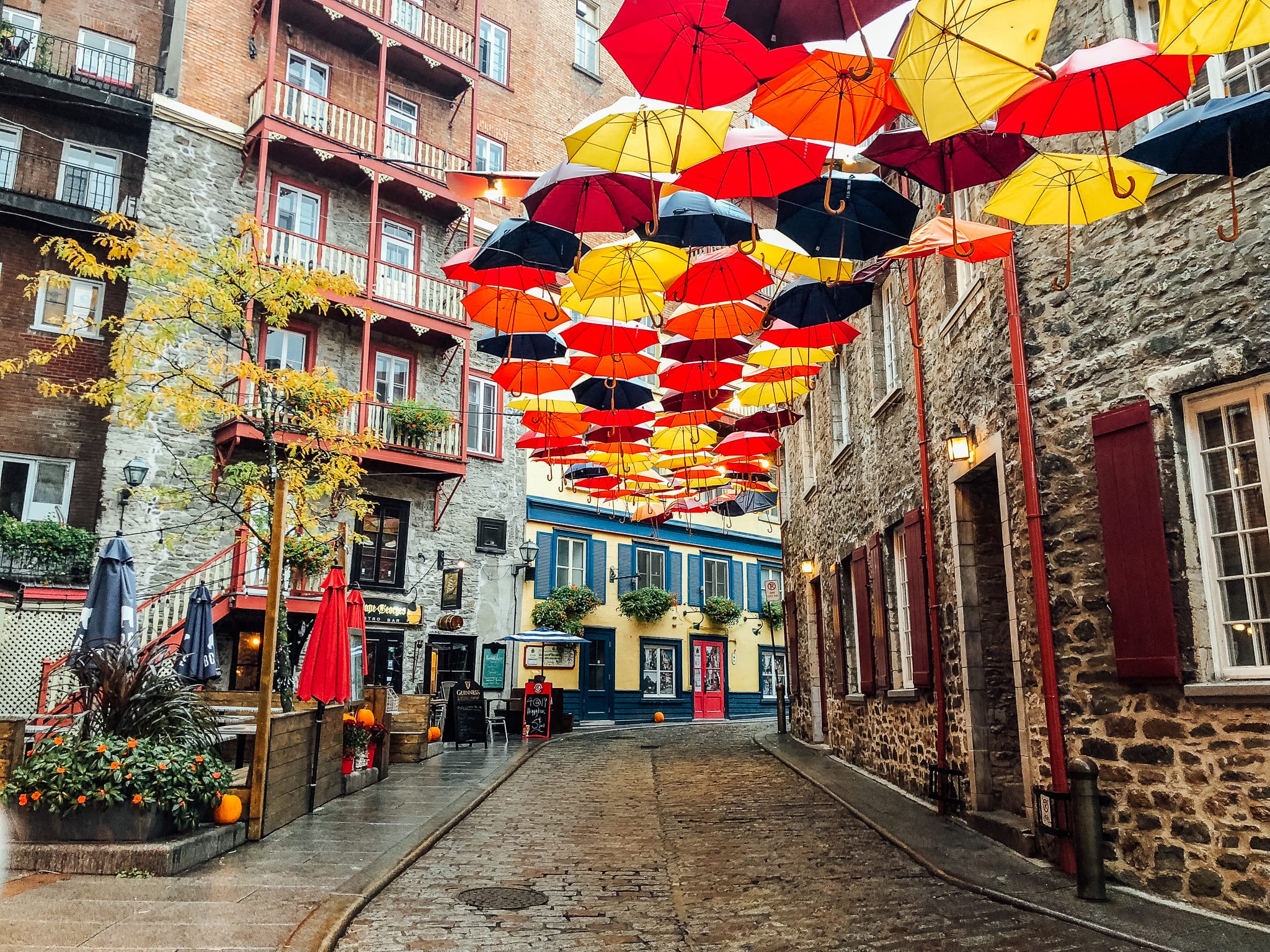 Ultimate Guide to Road Trips from Ottawa 2025